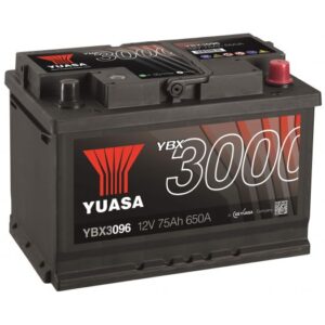 YBX3096