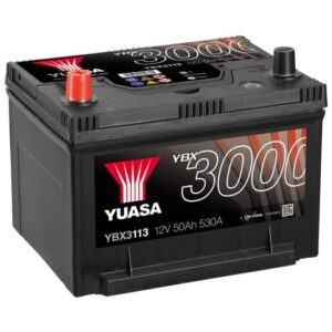 YBX3113