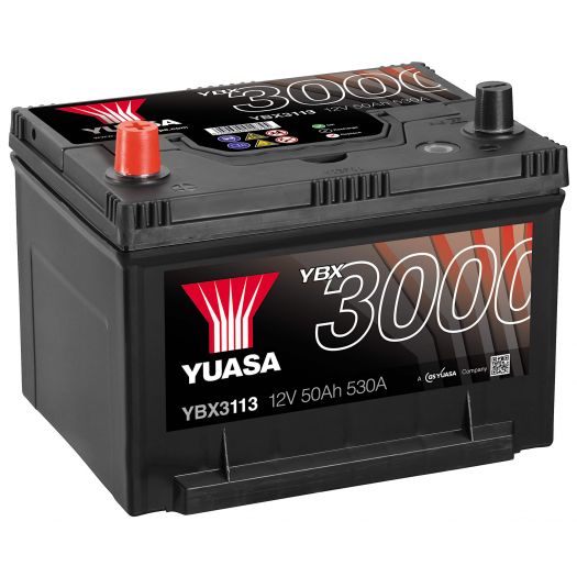 YBX3113